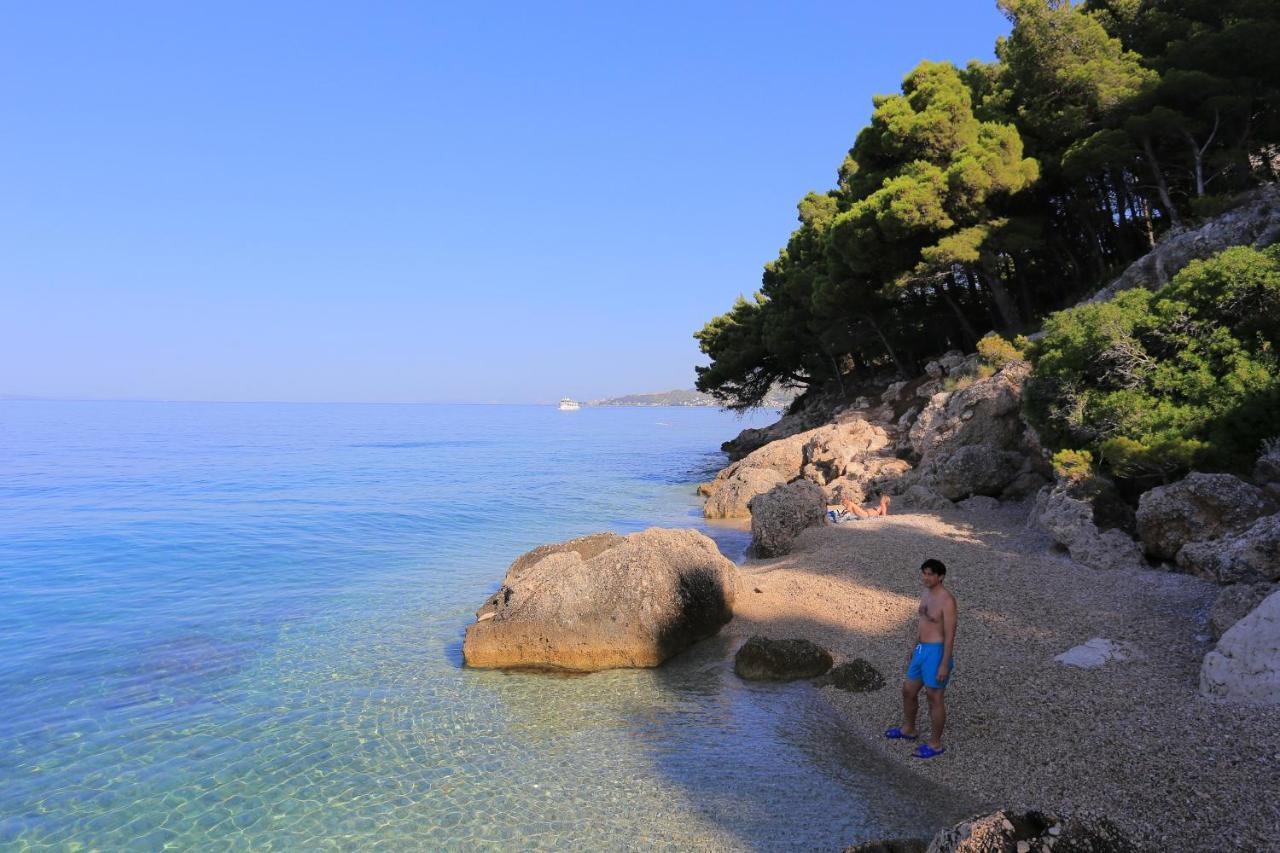 By The Sea Balica Rat, - 1065